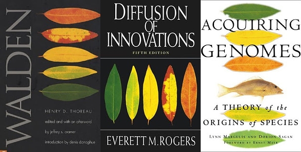 grid-cell-996-1374776029-13-horz