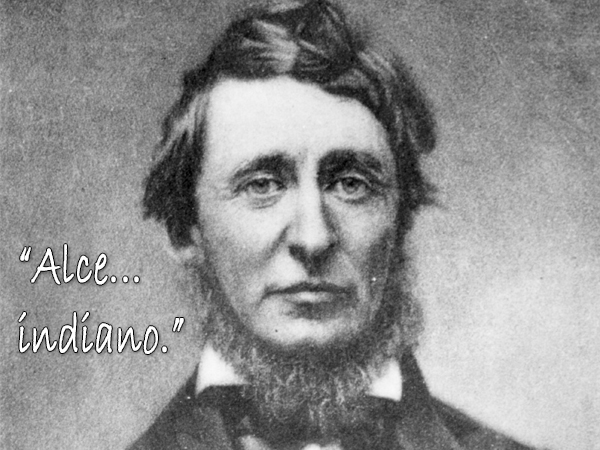 Thoreau-frase