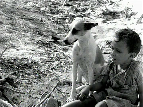 baleia_vidas_secas[1]