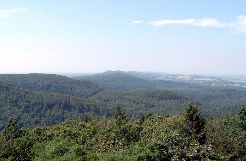 Blick-über-den-Teutoburger-Wald1