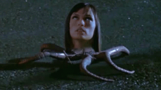 giphy (11)