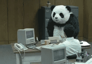 giphy (12)