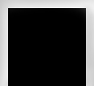 Polaroid-Retrato-Presente-Manifesto