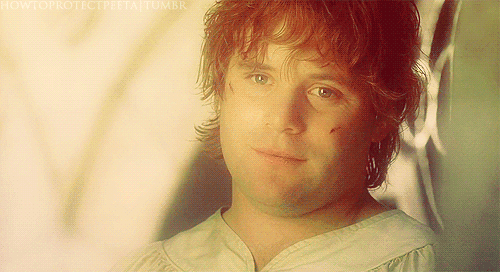 gif-sam-senhor-dos-anéis