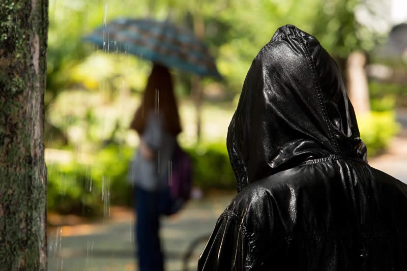 escaravelho-do-diabo-set-02fev2015_03.jpg__932x545_q85_subsampling-2