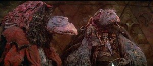 11414492_10204492331536180_1879470307_n