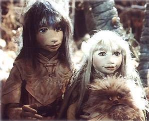 11638006_10204492332976216_1528044299_n