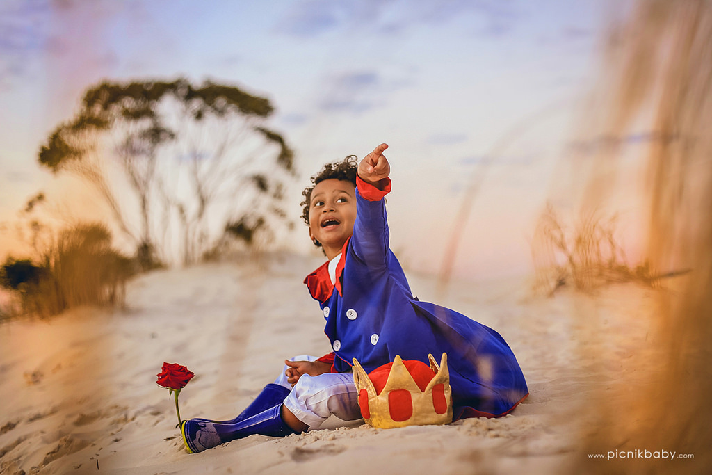 19640474664_be9565cbc1_b