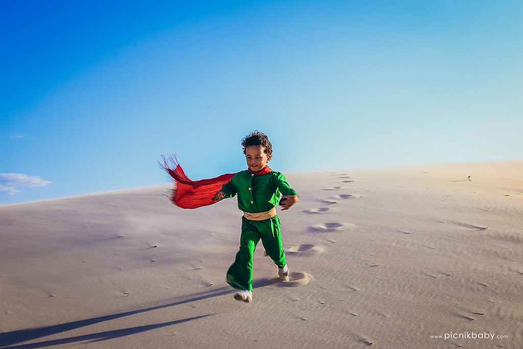 19640475514_62ed8116ee_b