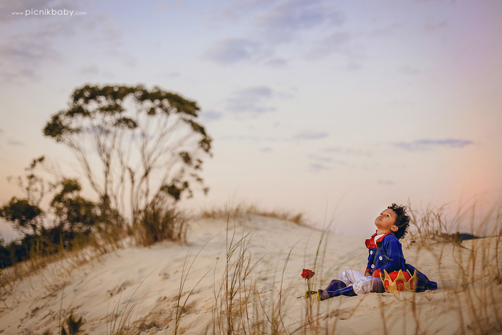 20254812872_f1748cbbab_b