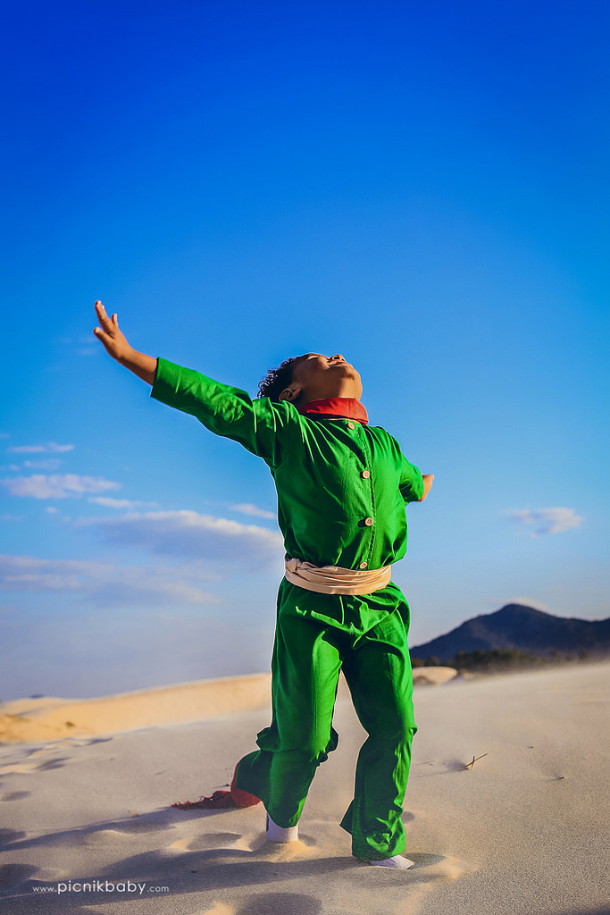 20254817052_313065c6c3_b