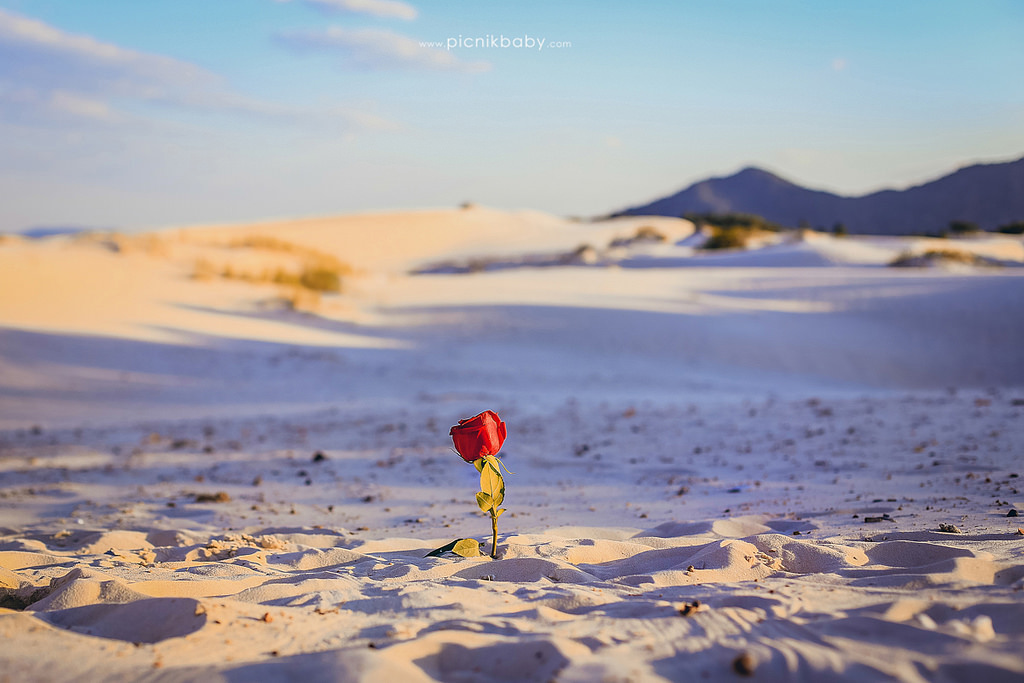 20254819412_59cb7bdfc1_b