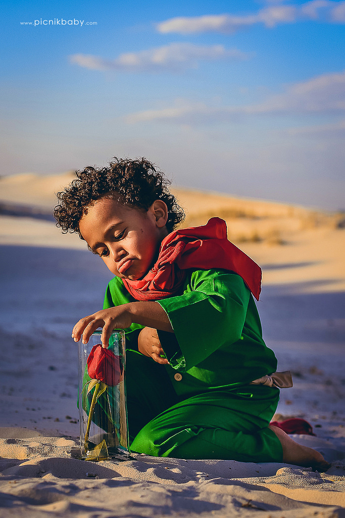 20254822352_41a8ee2f19_b