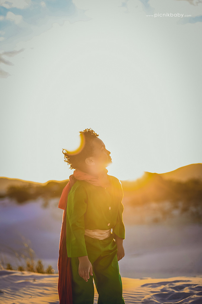 20268996181_0c887ab722_b