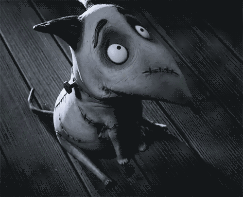 Frankenweenie