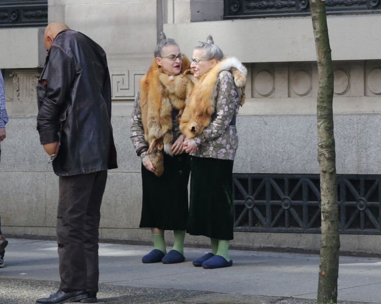 desventuras em série7