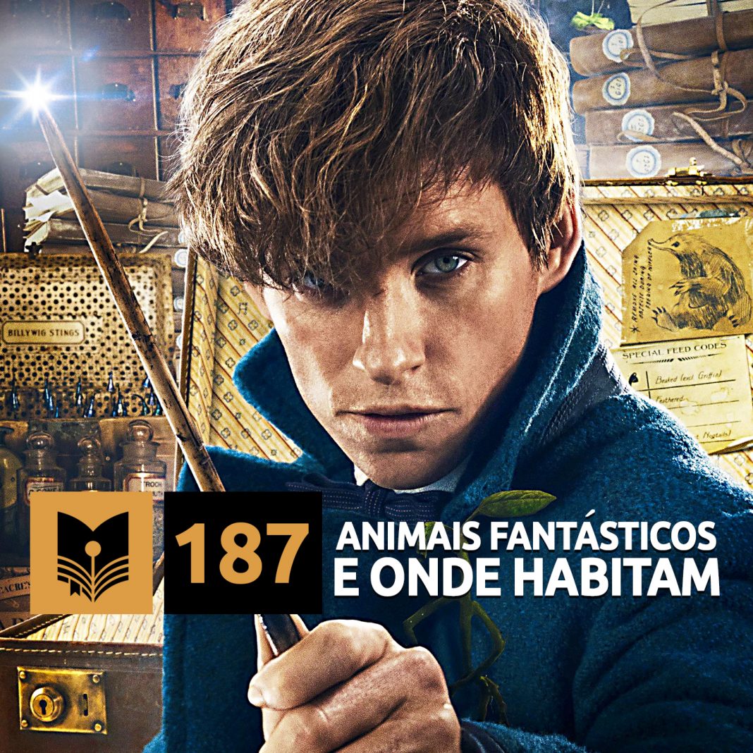 vitrine-cc-187