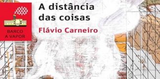 A distância das coisas – Flávio Carneiro