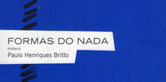 Capa do livro. um fundo azul, com alguns traços grossos de cor preta, em coluna à esquerda. Em primeiro plano, o titulo: Formas do Nada, e o texto: "Poemas", na linha de baixo o nome do autor: "Paulo Henriques Britto", sobre um fundo branco.