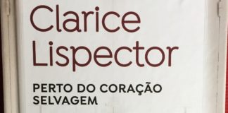 Recorte da capa do livro. No fundo uma janela branca ocupando toda imagem. Em primeiro plano, o nome da autora em destaque, e abaixo o titulo do livro.