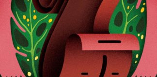 Recorte da capa do livro. Um desenho quase abstrato, com um fundo rosa e uma área verde semelhante a uma planta, na frente uma faixa vermelha em ondas.