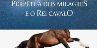 Recorte da capa do livro. Dividida em duas partes, na parte superior, um fundo do céu estrelado, com o título: "Perpétua dos Milagres e o Rei Cavalo". Na parte inferior, um fundo branco, com um imagem de um cavalo, não sendo possivel notar sua cabeça.