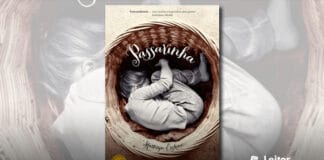 Capa do livro. Uma menina encolhida dentro de um cesto, vista por cima. A foto está em tons marrons, enquanto a menina está em tons cinzas. No topo, em branco, o título "Passarinha".