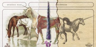 Fundo com papéis velhos em diferentes estágios de amarelado, divididos em três partes verticais por rasgos. Na primeira, há ilustrações coloridas de três unicórnios, um marrom, um branco e um ocre. Na segunda, há uma ilustração com a anatomia de um cavalo. Na terceira, ilustrações medievais de unicórnios. As três partes formam a silhueta de um unicórnio central. Acima da composição, ao centro, há um chifre iridescente de unicórnio. A imagem possui margem linear e textos, nas cores marrom, roxo e preto. Na parte superior, há o letreiro “Episódio #046 - Unicórnios”, e, na inferior, o logo do podcast “Estação 21”, do site “Leitor Cabuloso” e da campanha “O Podcast é Delas 2022”